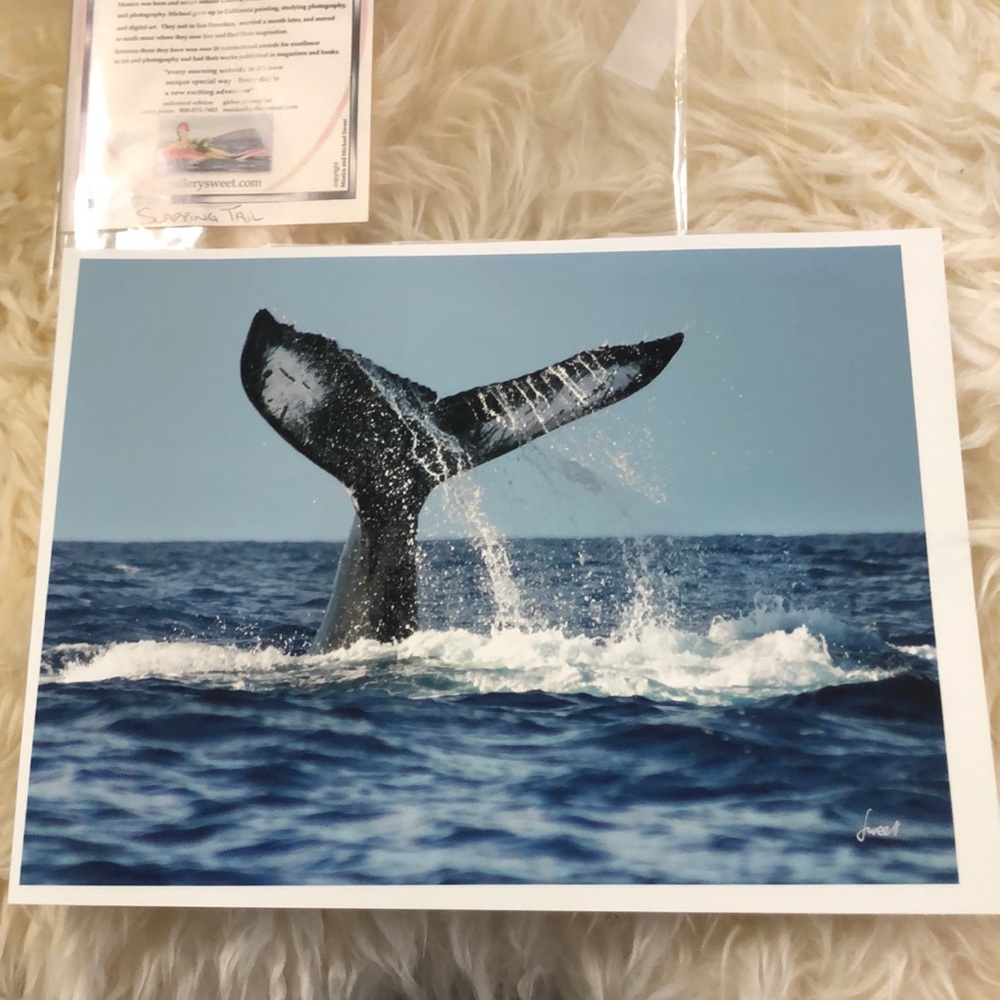 Whale picture ‘Snapping Tail’ by gallerysweet Hawaii. NWOT 8.5x 11.5